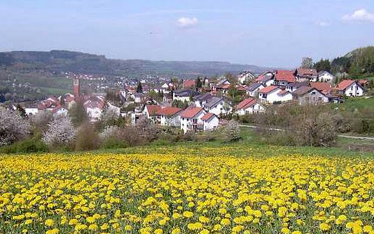 Bild: Raimund Stoffel / Mai